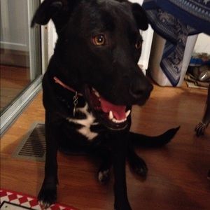 Meet your Posher, Tj